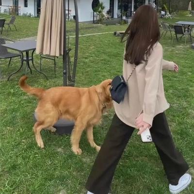 犯罪的都市